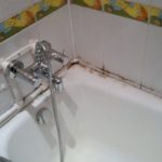 mold in the bathroom