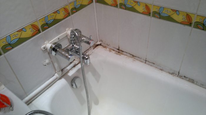 mold in the bathroom