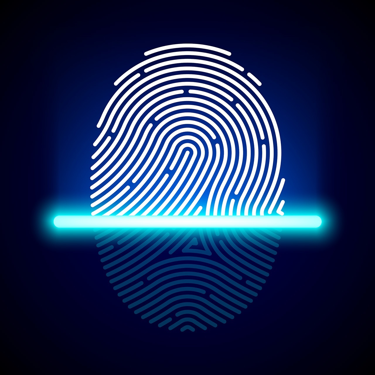 fingerprint scanner
