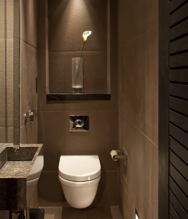 Mirror in the toilet