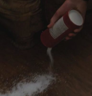 salt on the doorstep