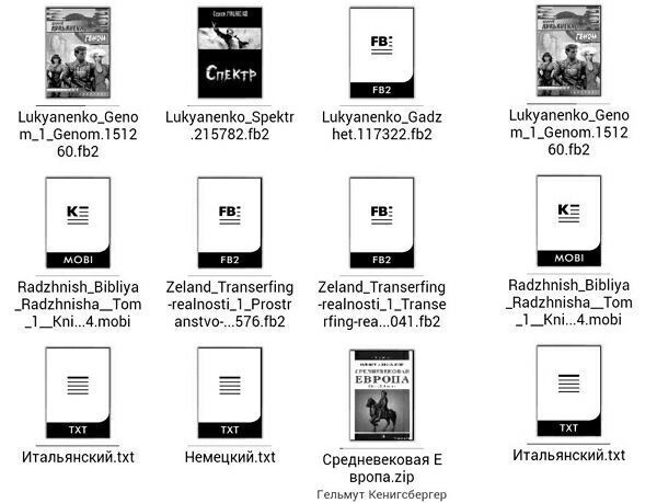Commonly used e-book formats.