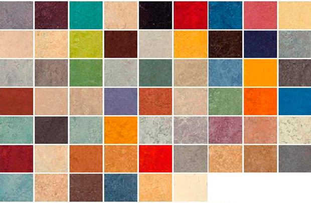 what does it look like