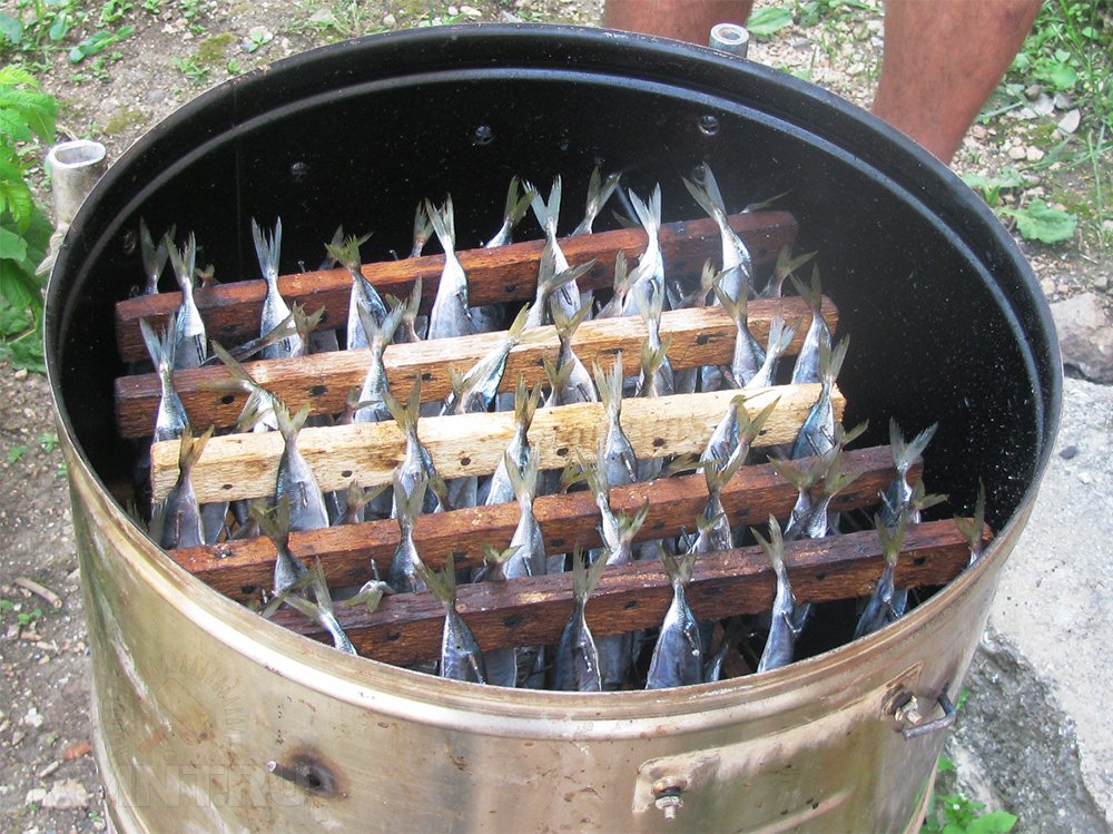 Fish in a smokehouse from a washing machine.