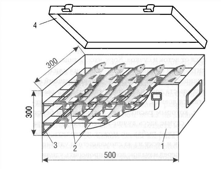 Dimensions of smokehouse for fish.