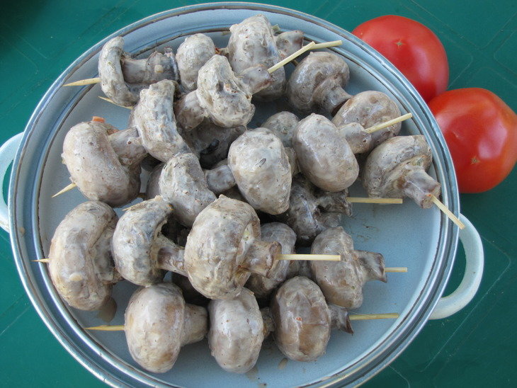 Champignons in sour cream.