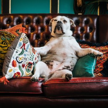 Mistakes when choosing furniture