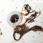 hair from bathroom drain