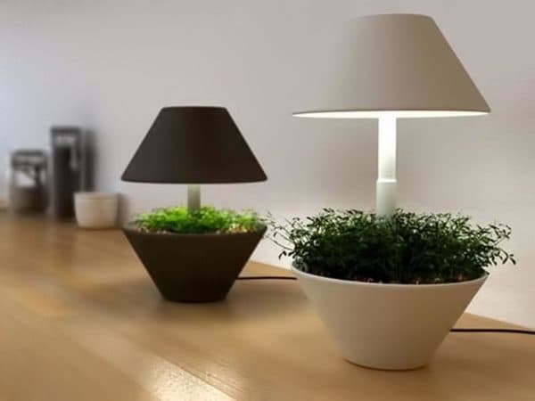 Lamps with a garden bed.