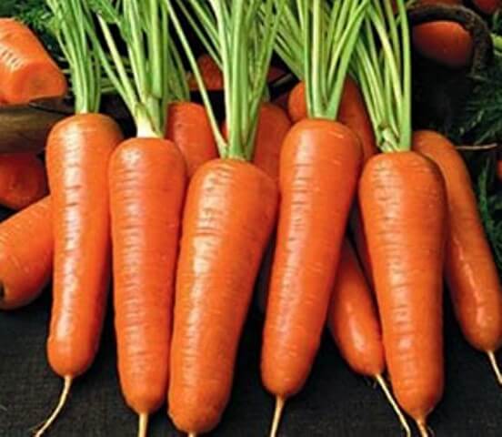 Noble carrot