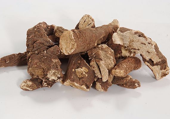 What does soap root look like?