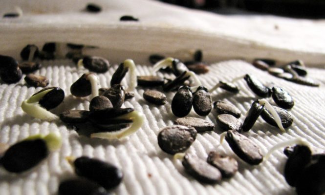 Magnet in everyday life