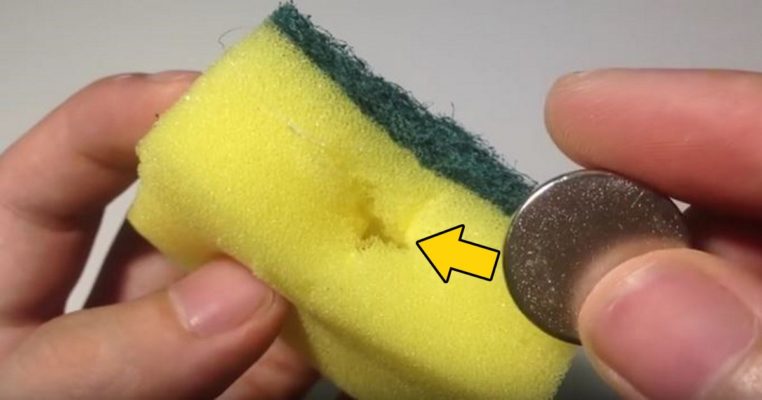 9 clever tricks with a dish sponge that every housewife should know