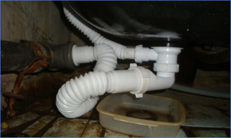 Cleaning the siphon.