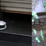 Why do the Japanese place saucers of salt in the toilet and other rooms?