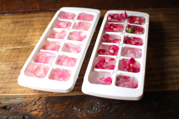 TOP 15 cool ways to use ice cube trays