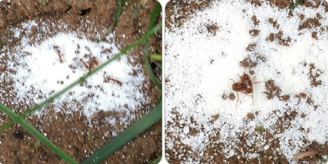 TOP 17 unexpected life hacks for using baby powder in the country and at home