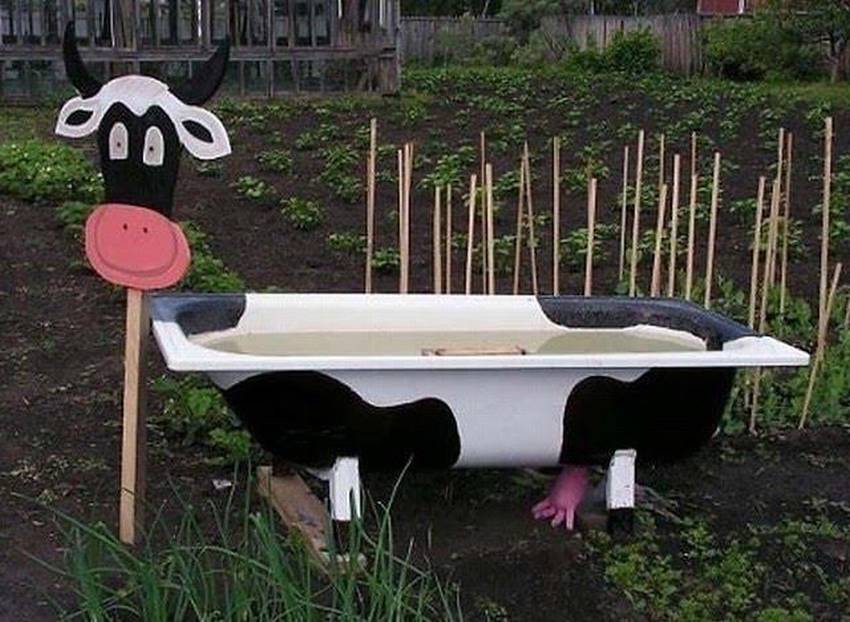 Water container from an old bathtub.