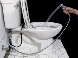 toilet with bidet