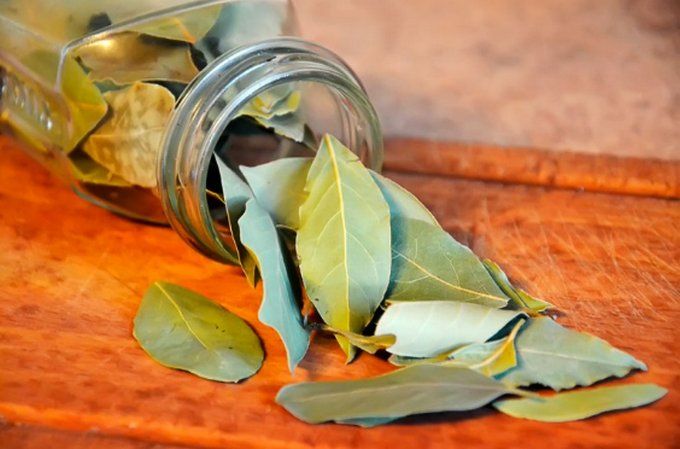 How bay leaf can replace air freshener