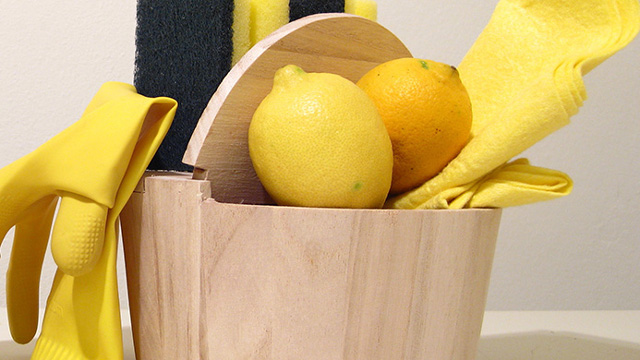 Folk remedies that help get rid of dust in the house for a long time