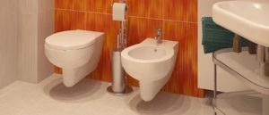 design with bidet