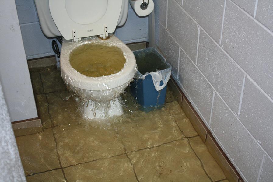 Clogged toilet.