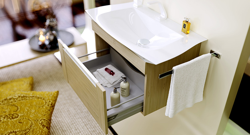 cabinet under the sink