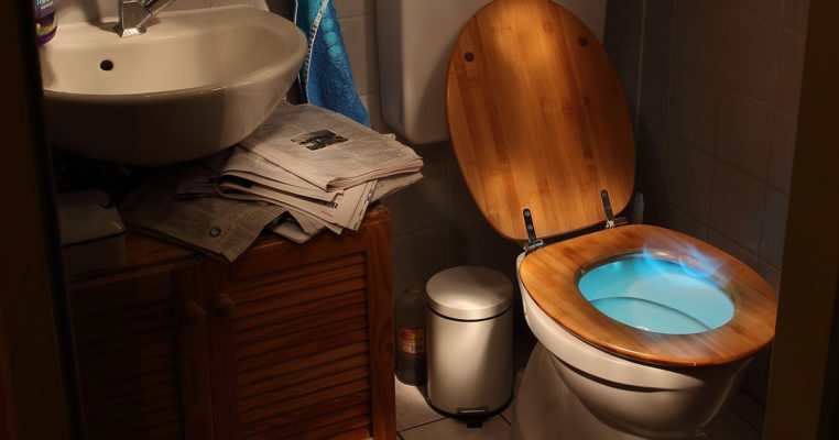 Why did Soviet toilets have a shelf?