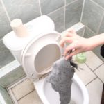 What to do if a rag gets into the toilet