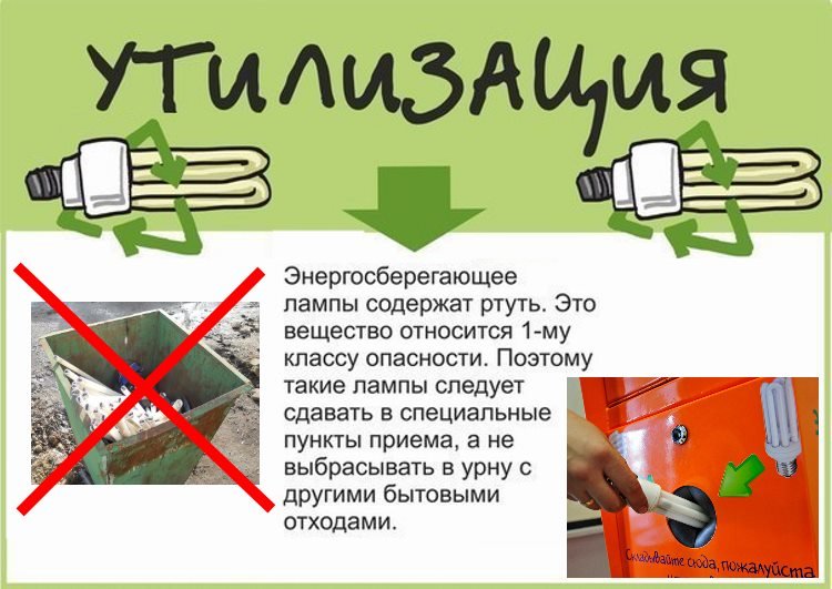 Recycling light bulbs.