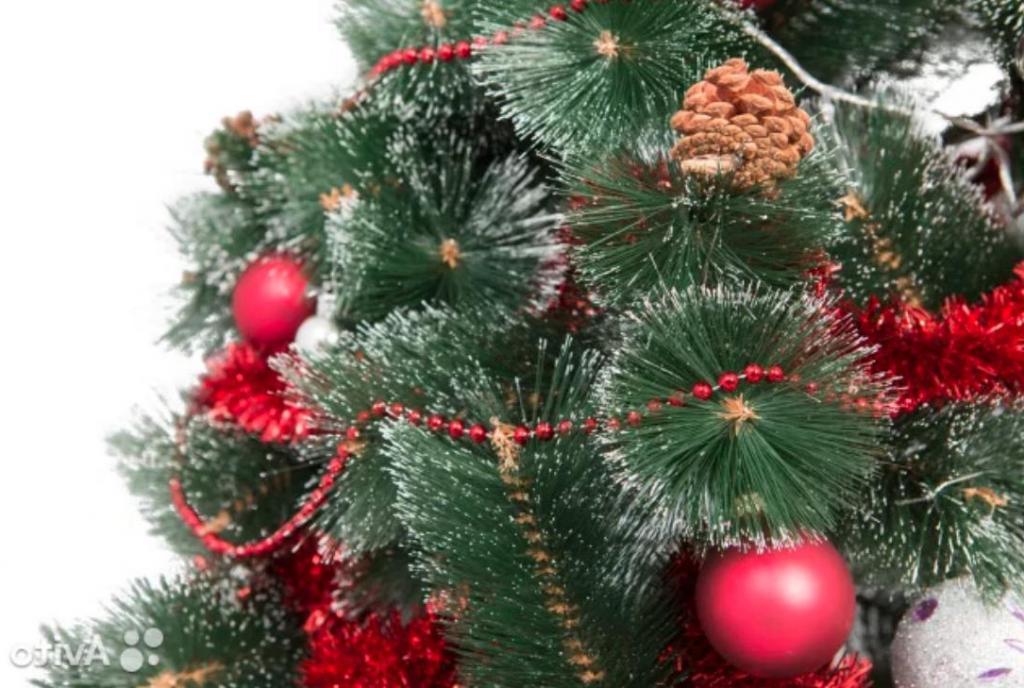 Why ecologists, firefighters and doctors are against artificial Christmas trees