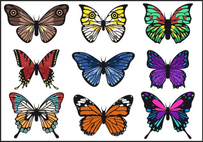 pattern of colored butterflies