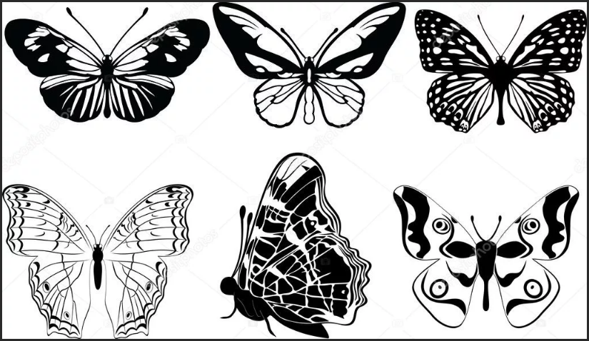 black and white butterflies pattern