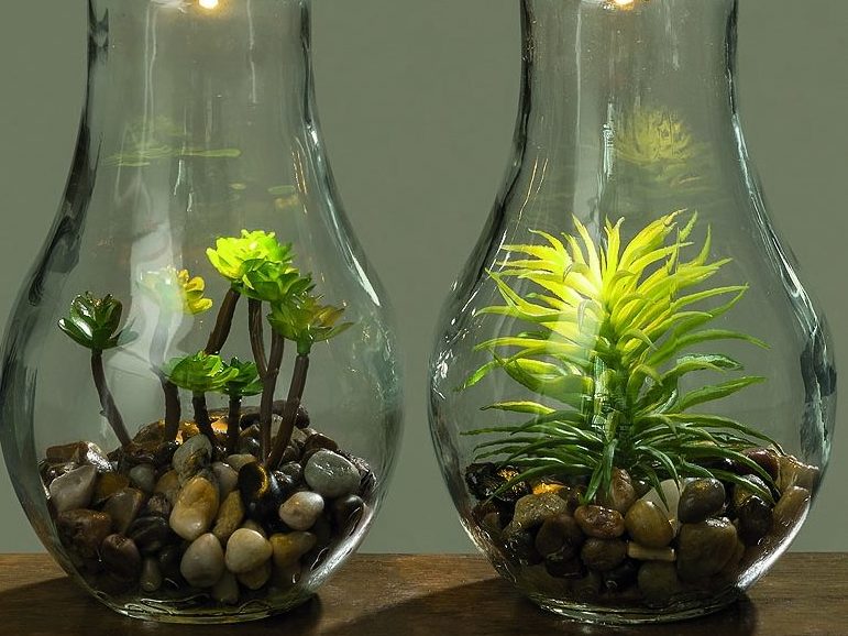 Decorative miniature florarium in a lamp.