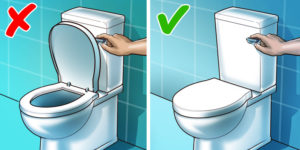 Open or close: which position to choose for the toilet lid