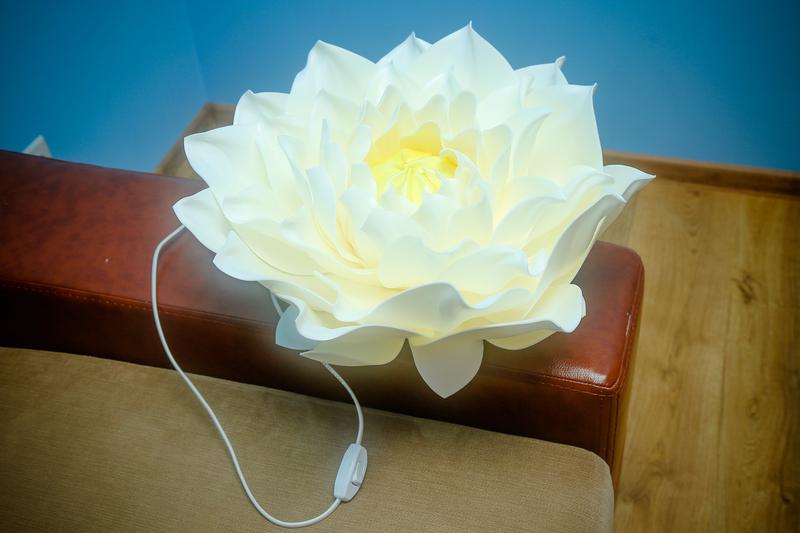 Water lily from isolon