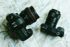 DSLR and mirrorless cameras