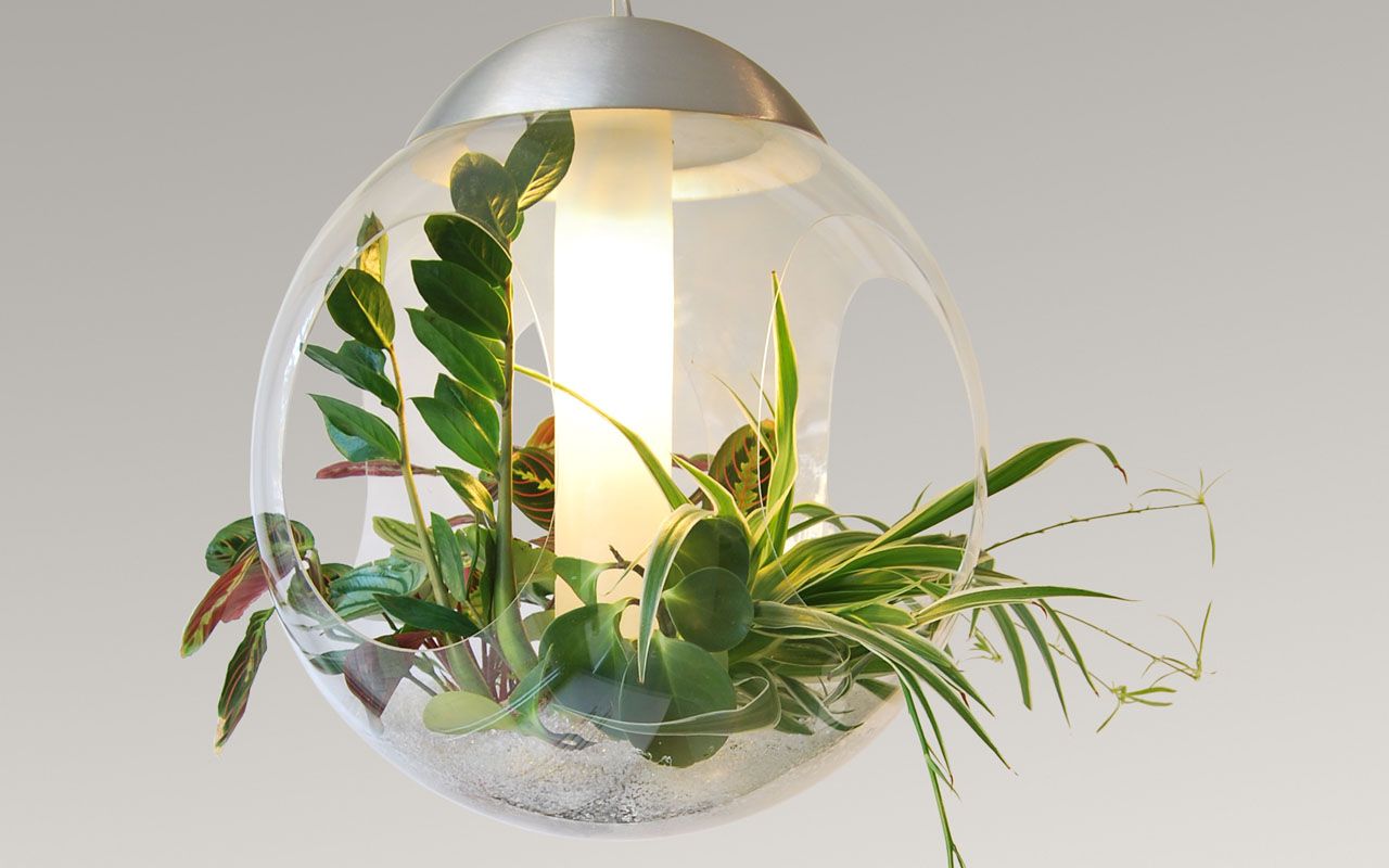 lamp with plants