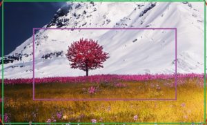 What is crop in a camera?