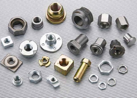 Main types of nuts: description and photo