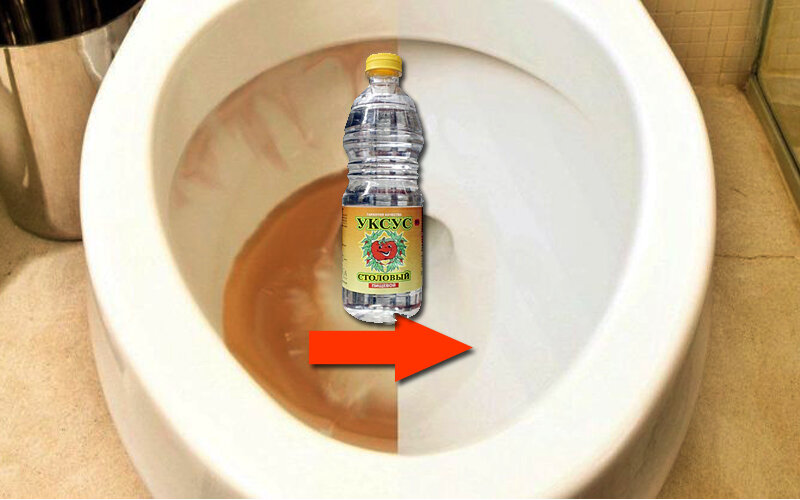 Why do experienced housewives pour vinegar into the toilet?