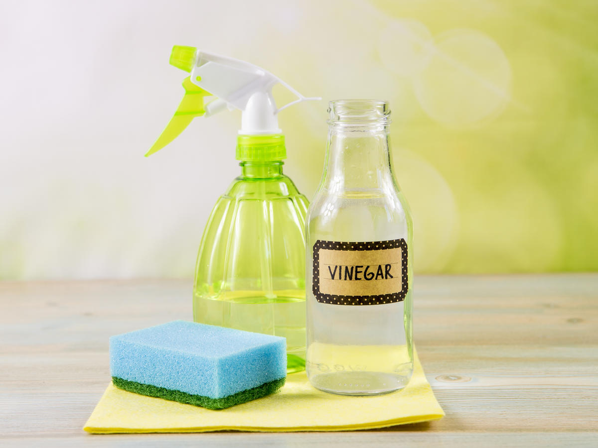 Vinegar, sponge, spray bottle