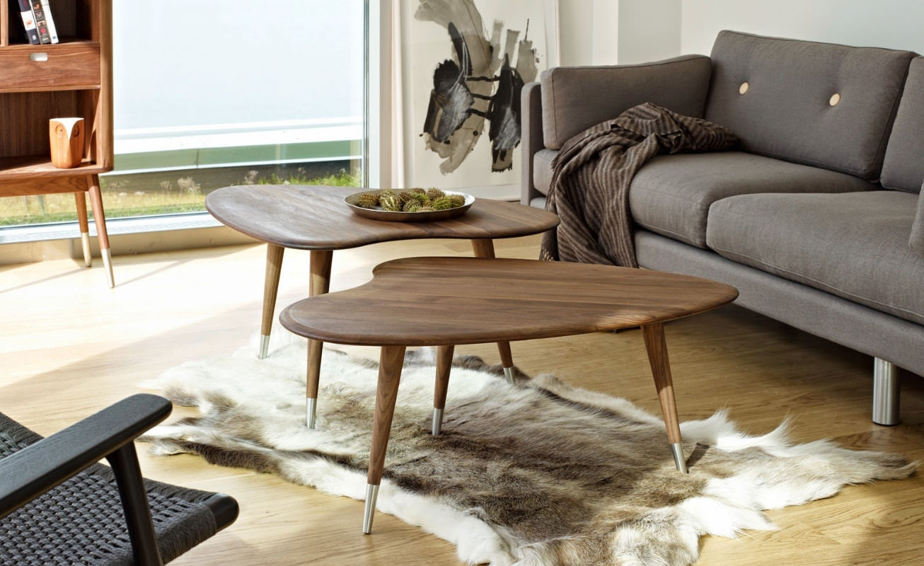 Scandinavian style coffee table 1