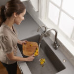 disposer in the house