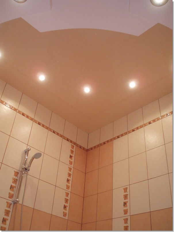suspended ceiling in the bathroom