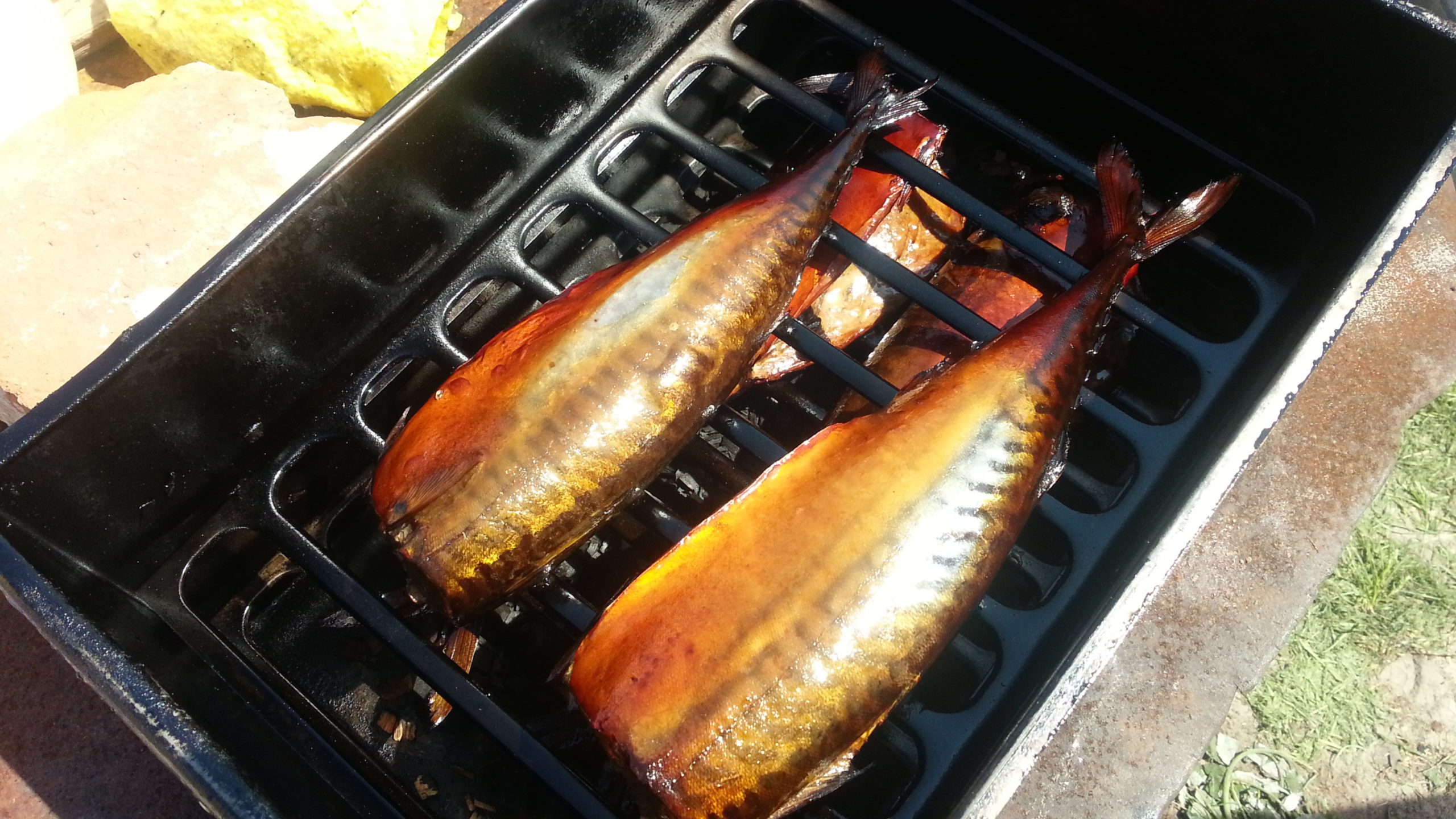 Fish in the smokehouse