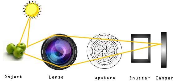 Operation of a SLR camera.