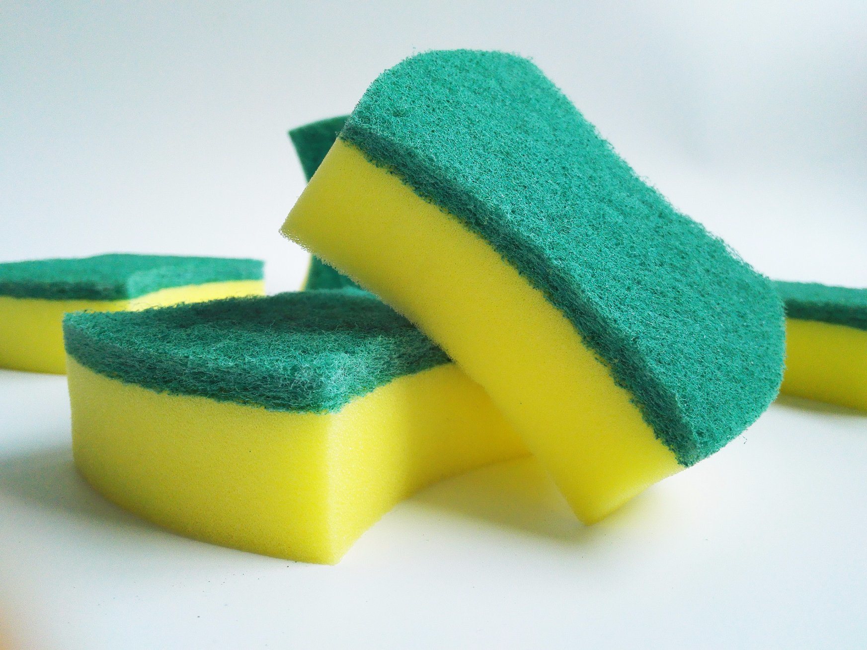 Dish sponge