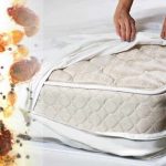 What can you find in a mattress after 10 years of use?